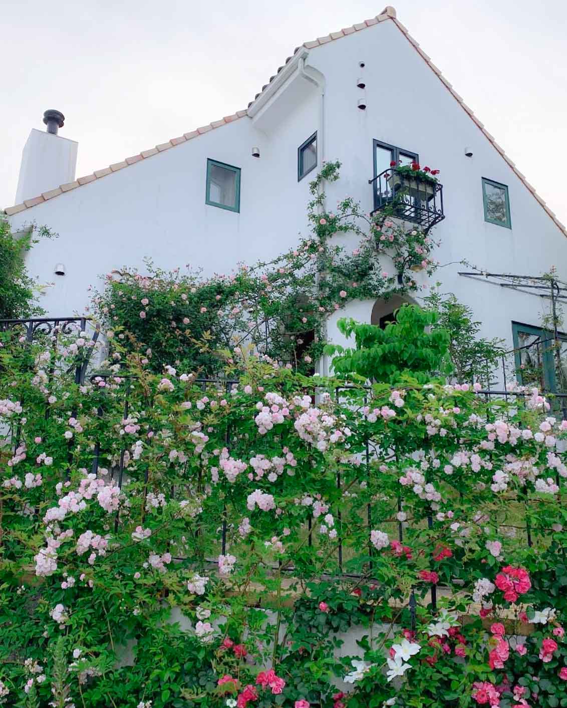 動画「遊鳥（ゆとり）ガラス工房」高台の白い家・物語の庭づくりに魅了